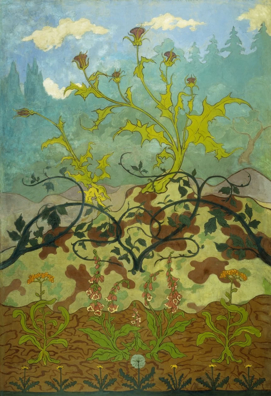 Cardi e Foxglove, 1899